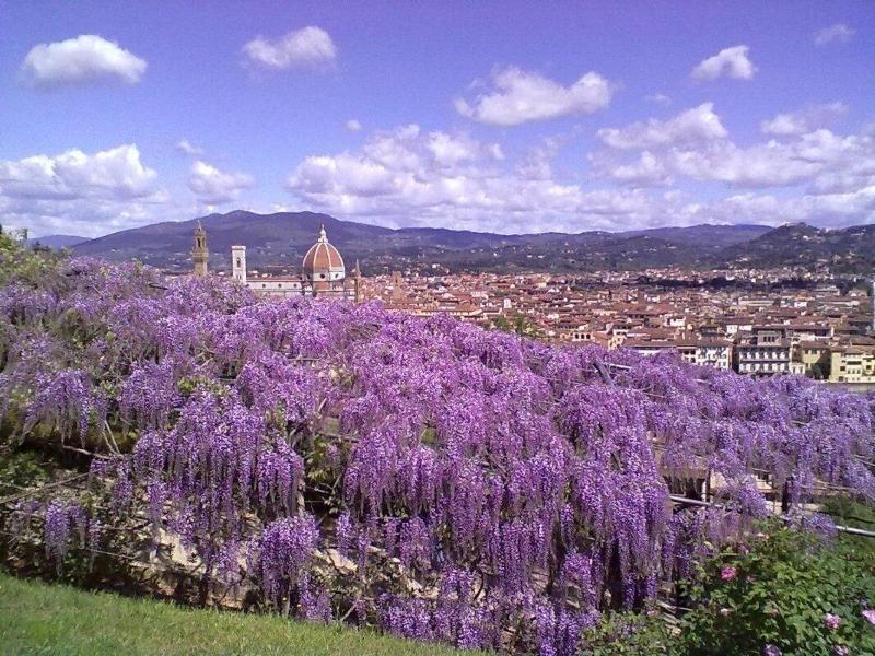 Soggiorno Alessandra Florença Exterior foto